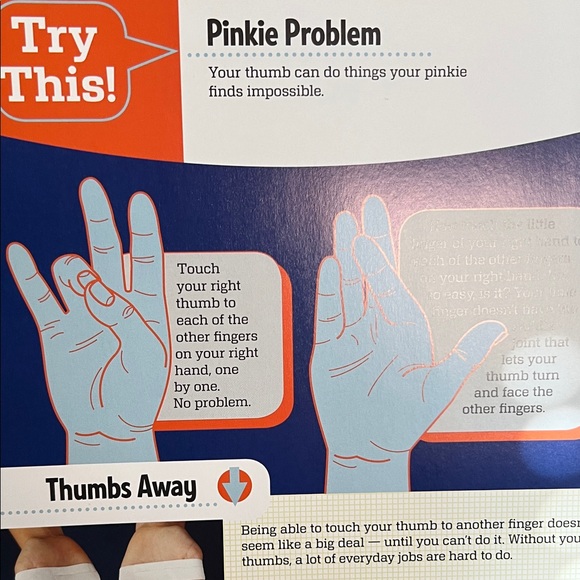 Klutz The Hand Book - Build a Skeleton Hand Kit - Picture 12 of 14